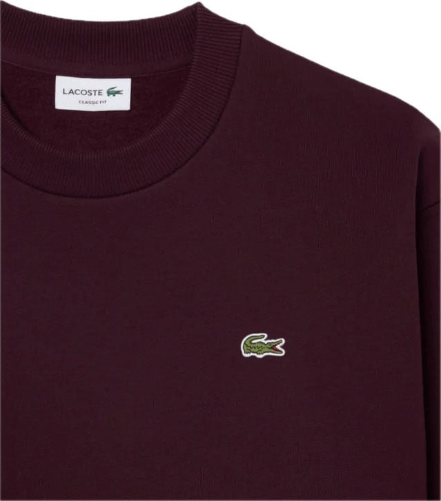 sweater bordeaux