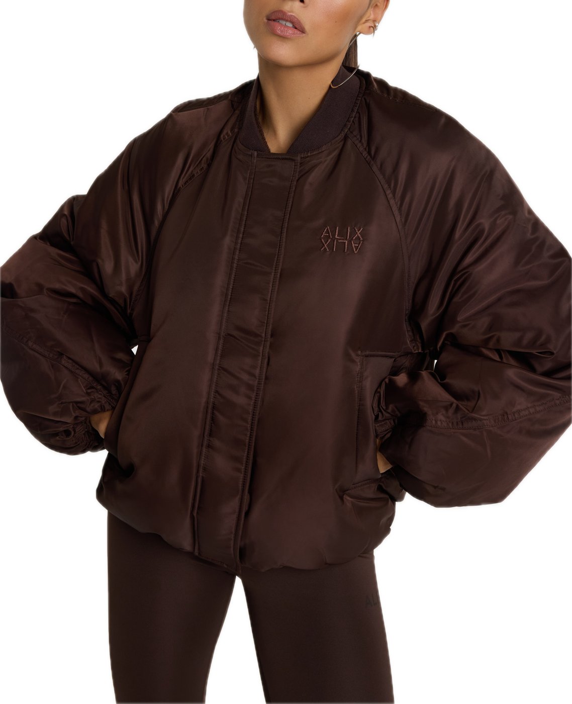 bruine bomber logo borst