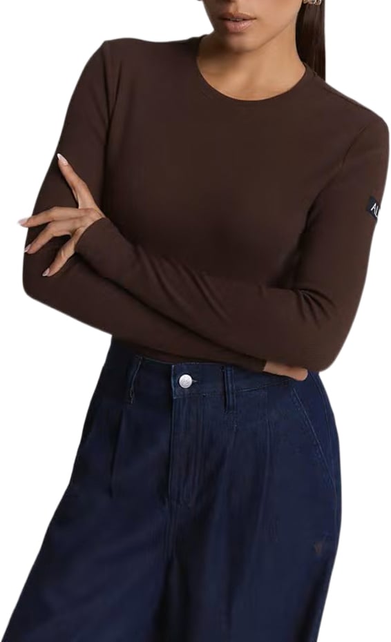paarse longsleeve logo