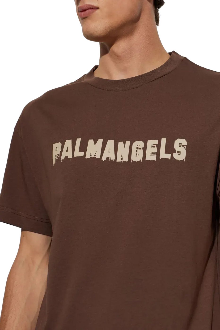 Palm Hills Regular Tee Brown