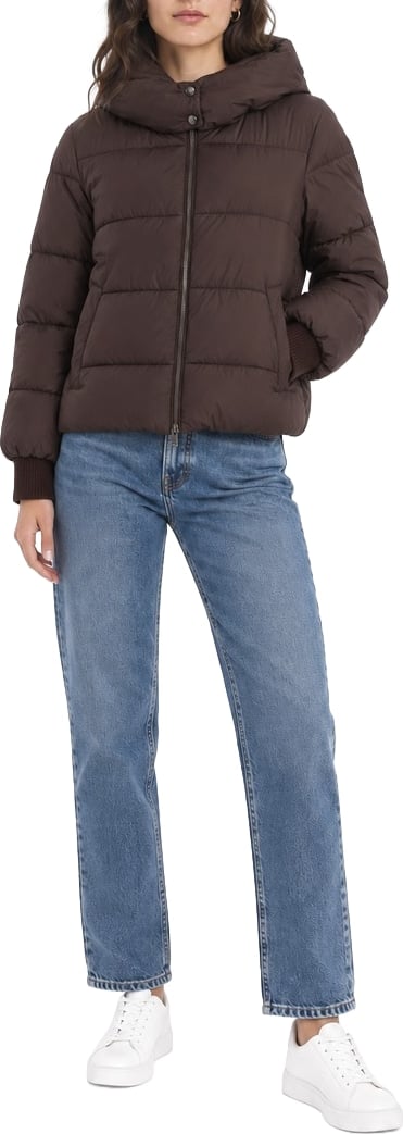 Coats Brown