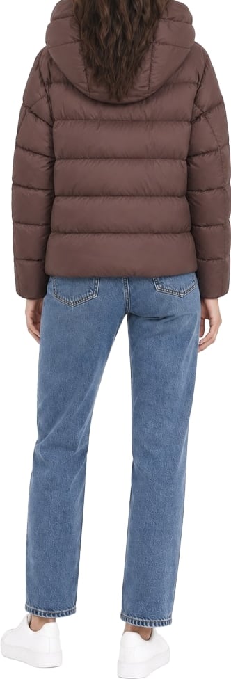 Coats Brown