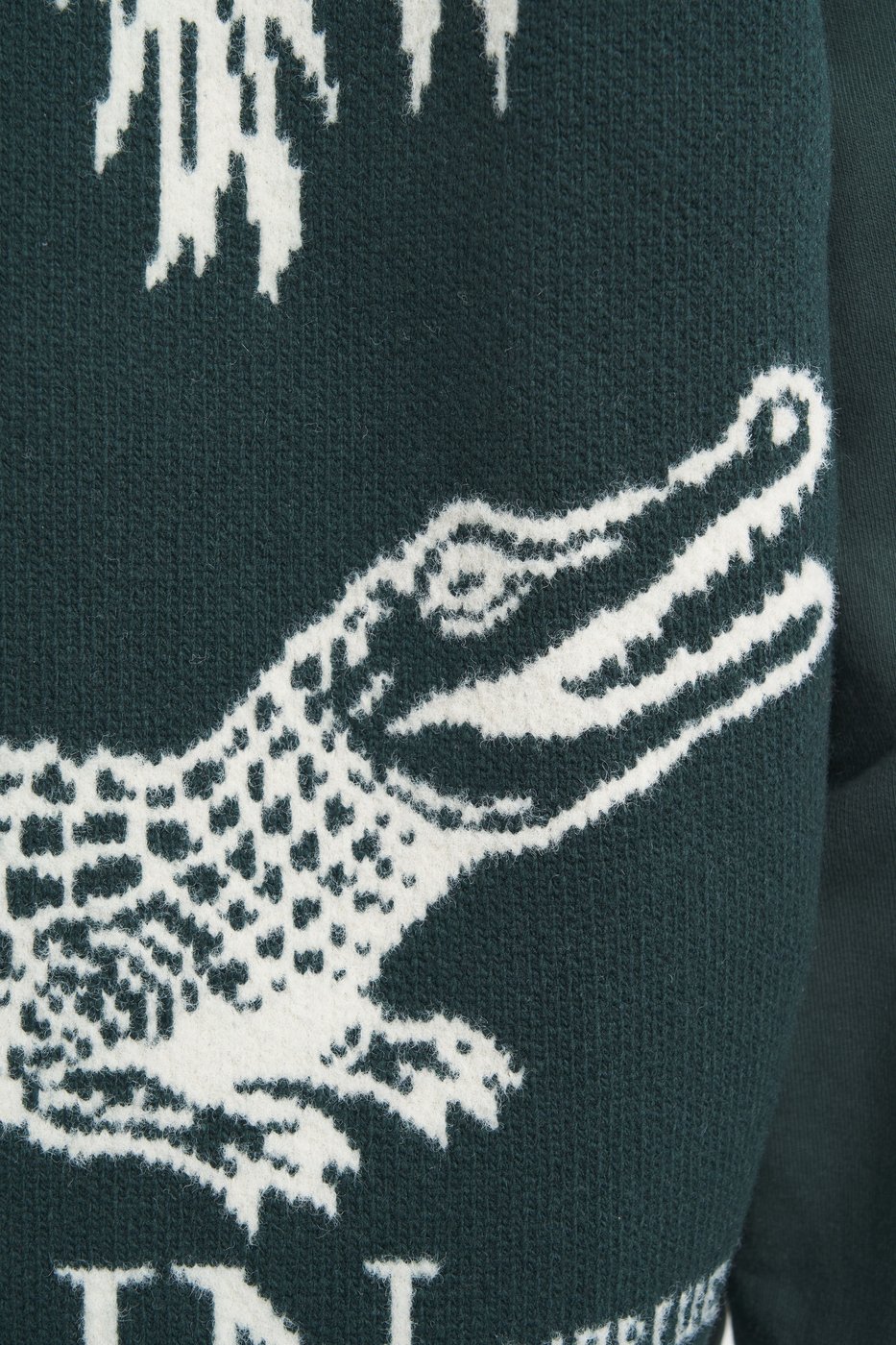 Hoodie 'Palmeraie'