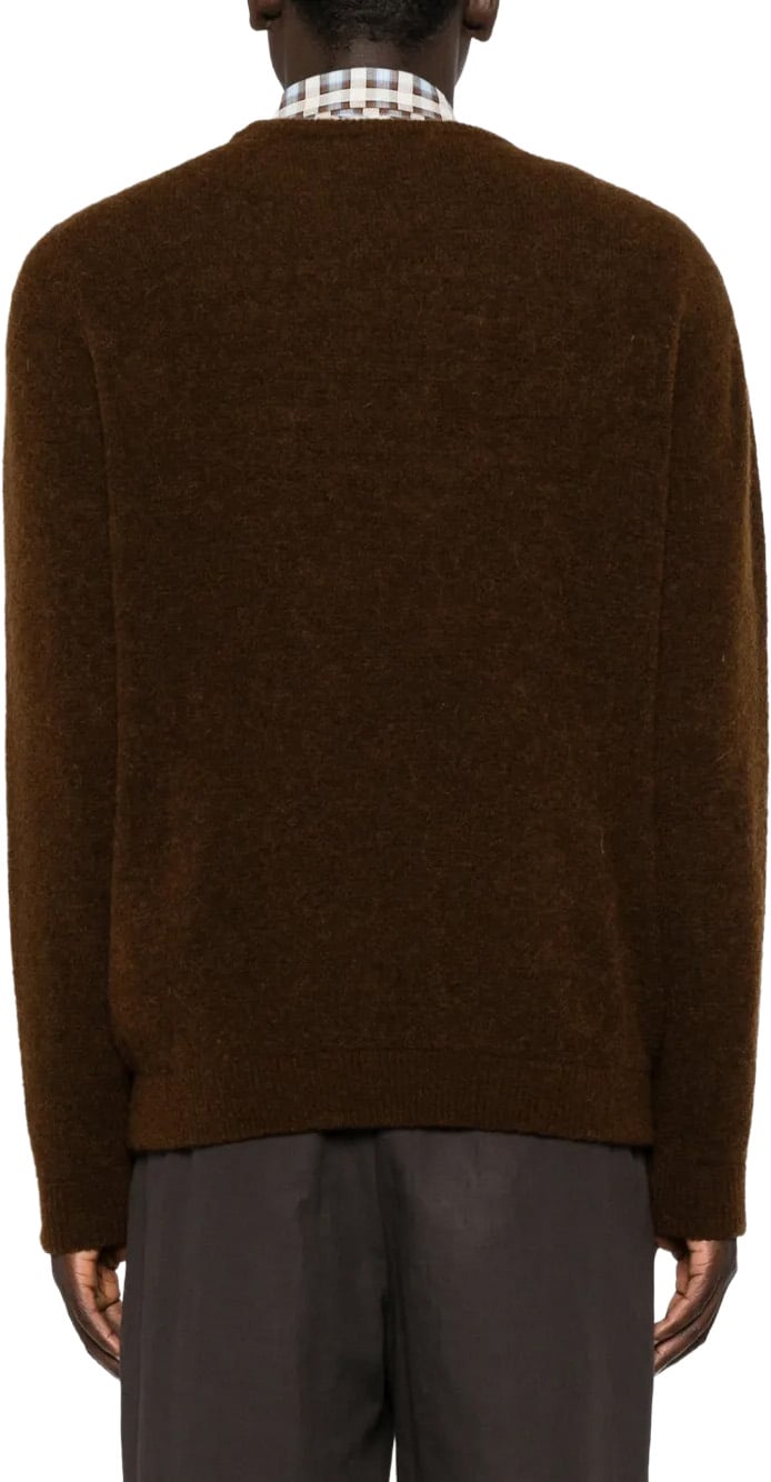 pull wol bruin
