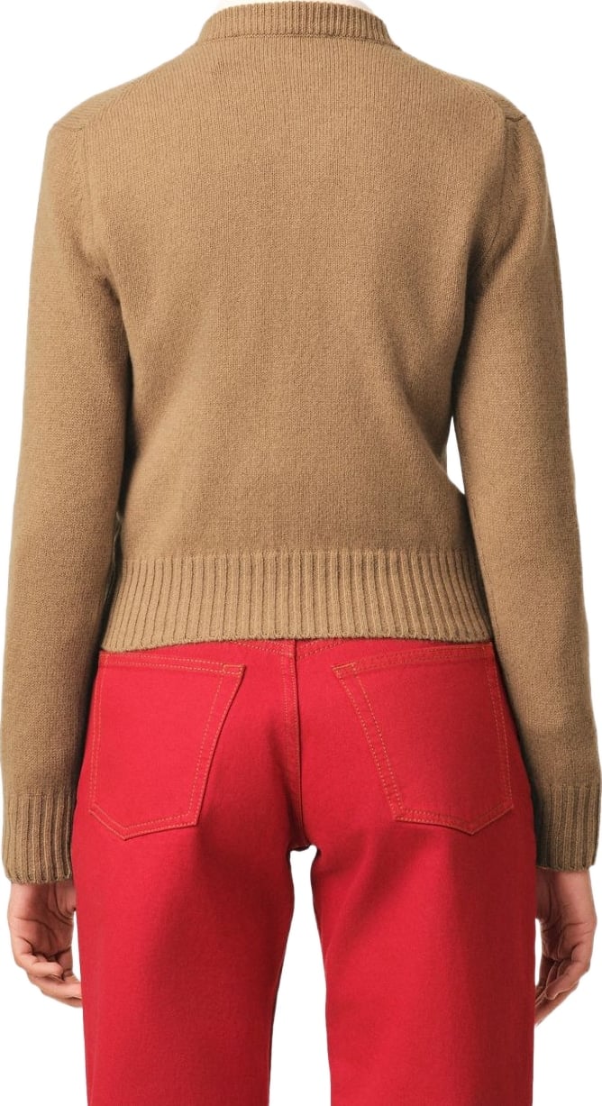 Sweaters Camel