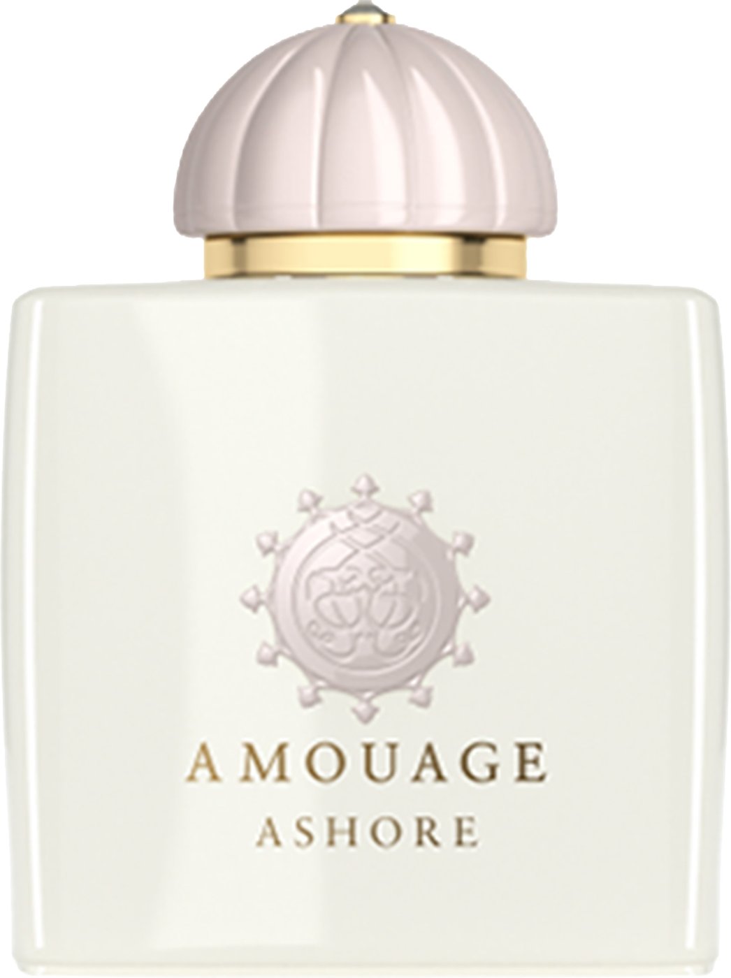 Edp 100Ml Ashore W