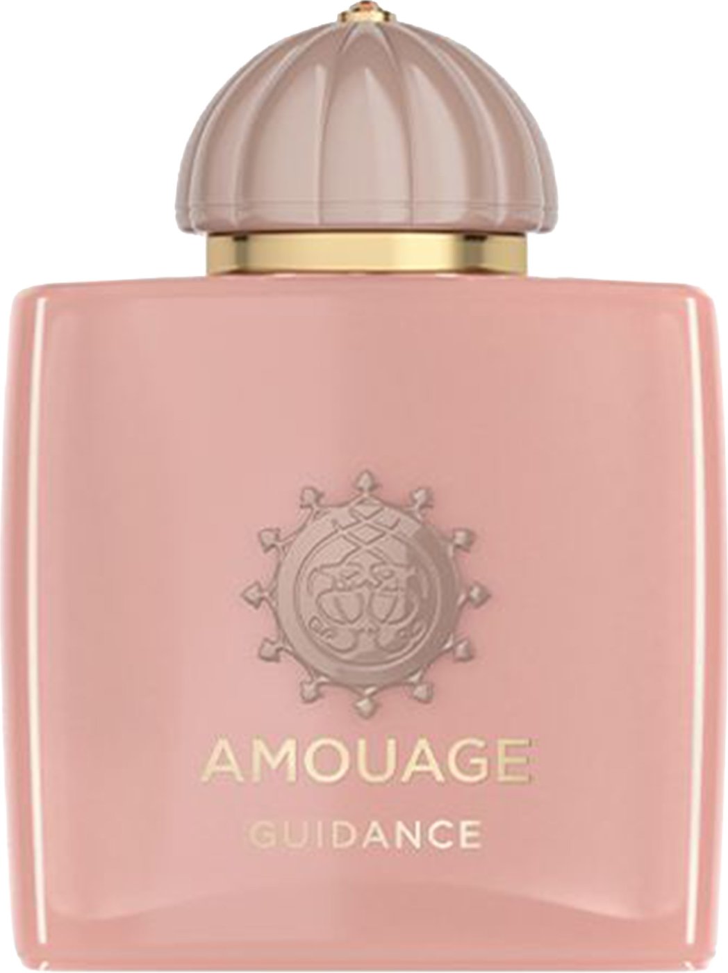 Edp 100Ml Guidance