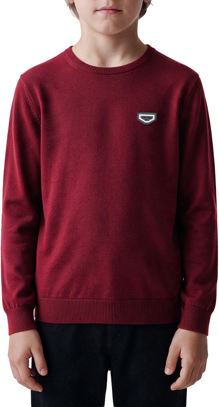 Wine regular-fit crew-neck sweater in soft cotton with logo on metal badge