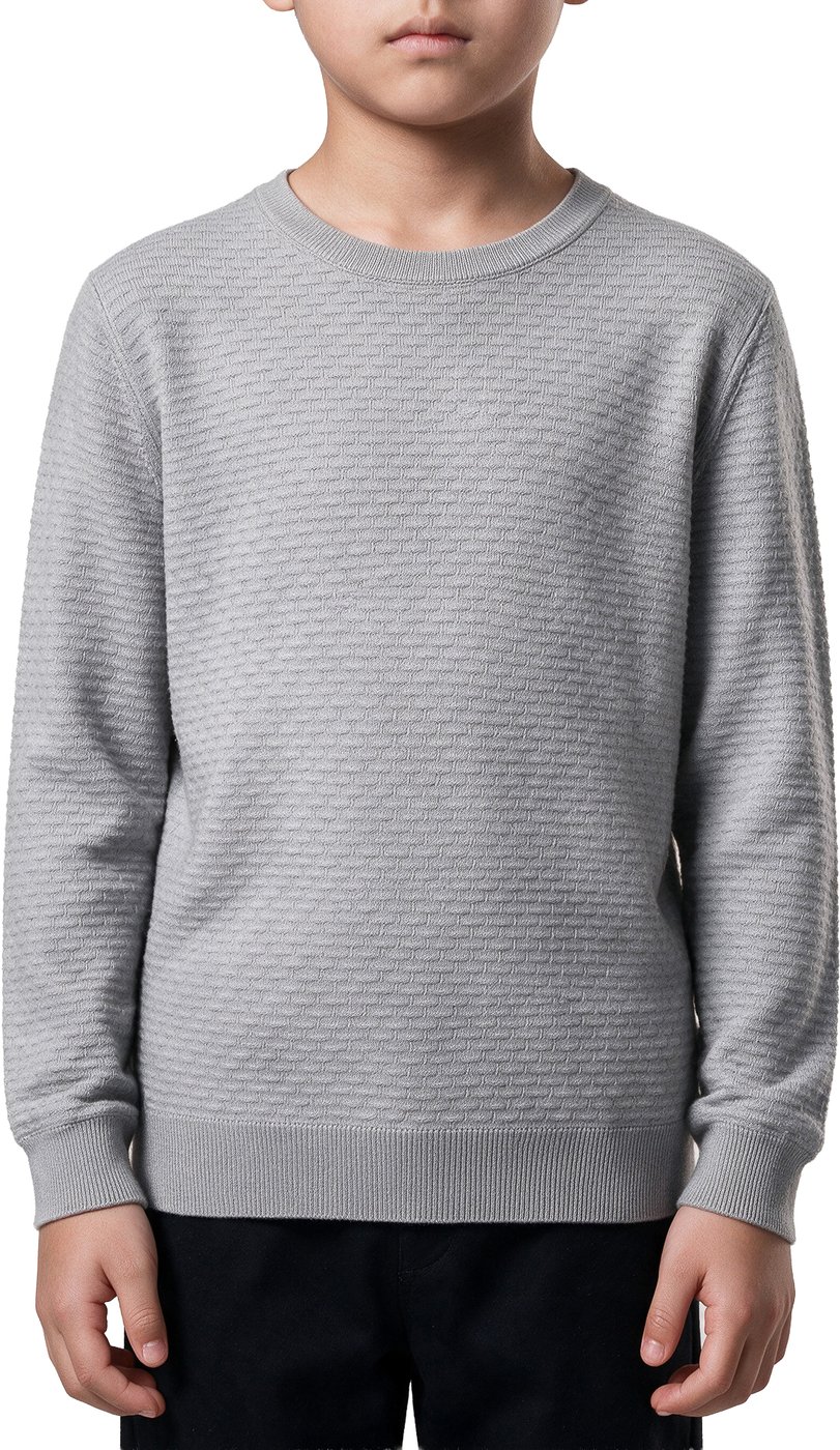 Stone regular-fit long-sleeve crew-neck sweater in viscose with jacquard motif