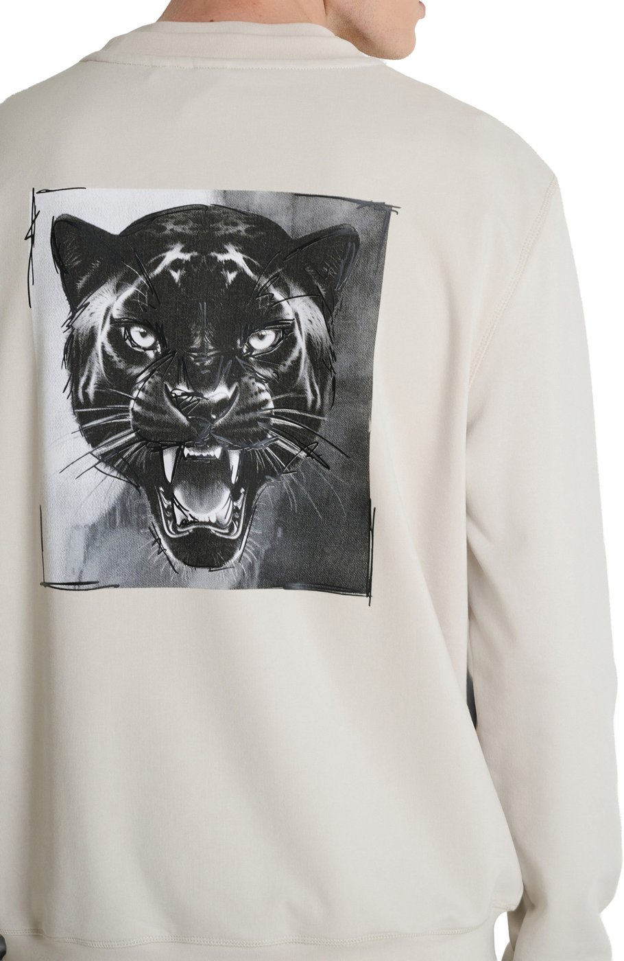 Chalk regular-fit sweatshirt in cotton blend with tiger print on back shoulder and logo
