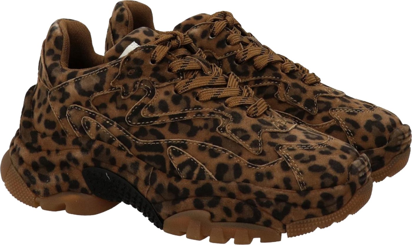Sneakers Leopard Chestnut