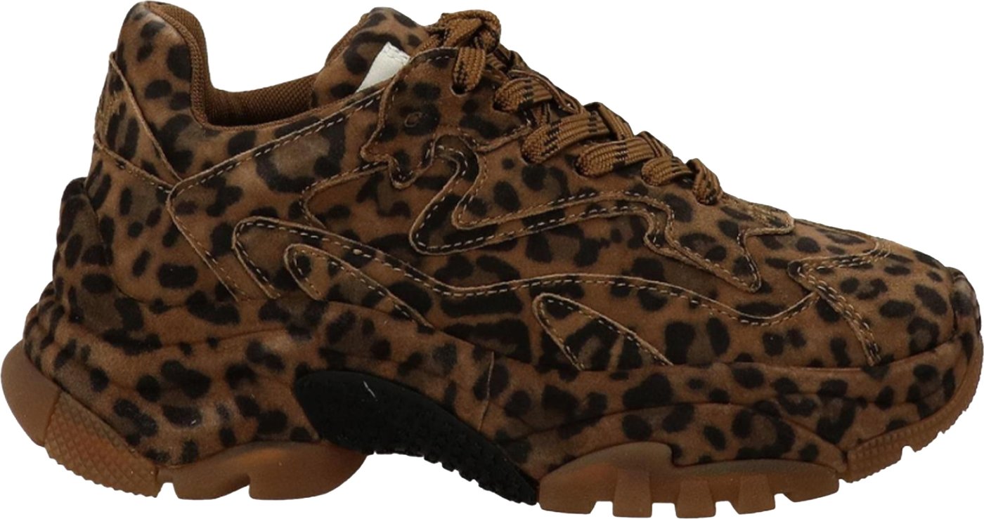 Sneakers Leopard Chestnut