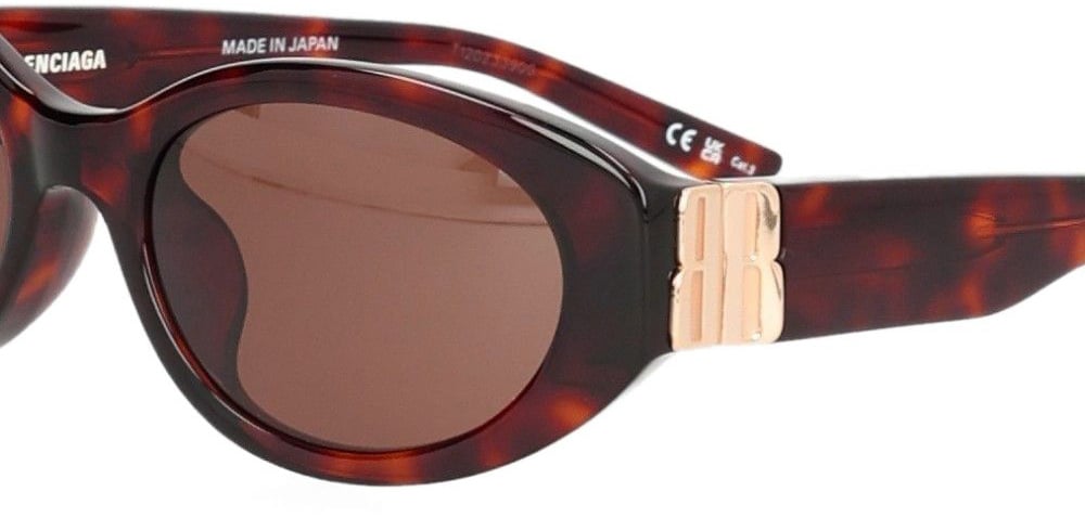 Sunglasses Brown