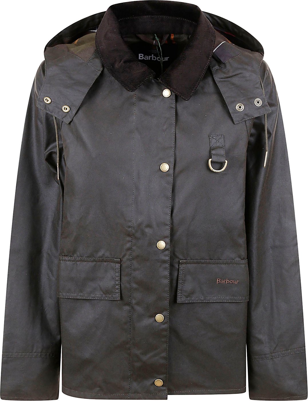 Coats Oliva
