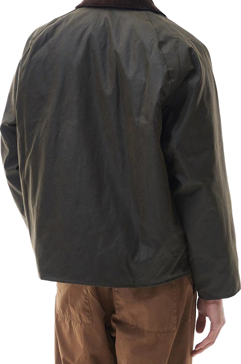 Jackets Olive