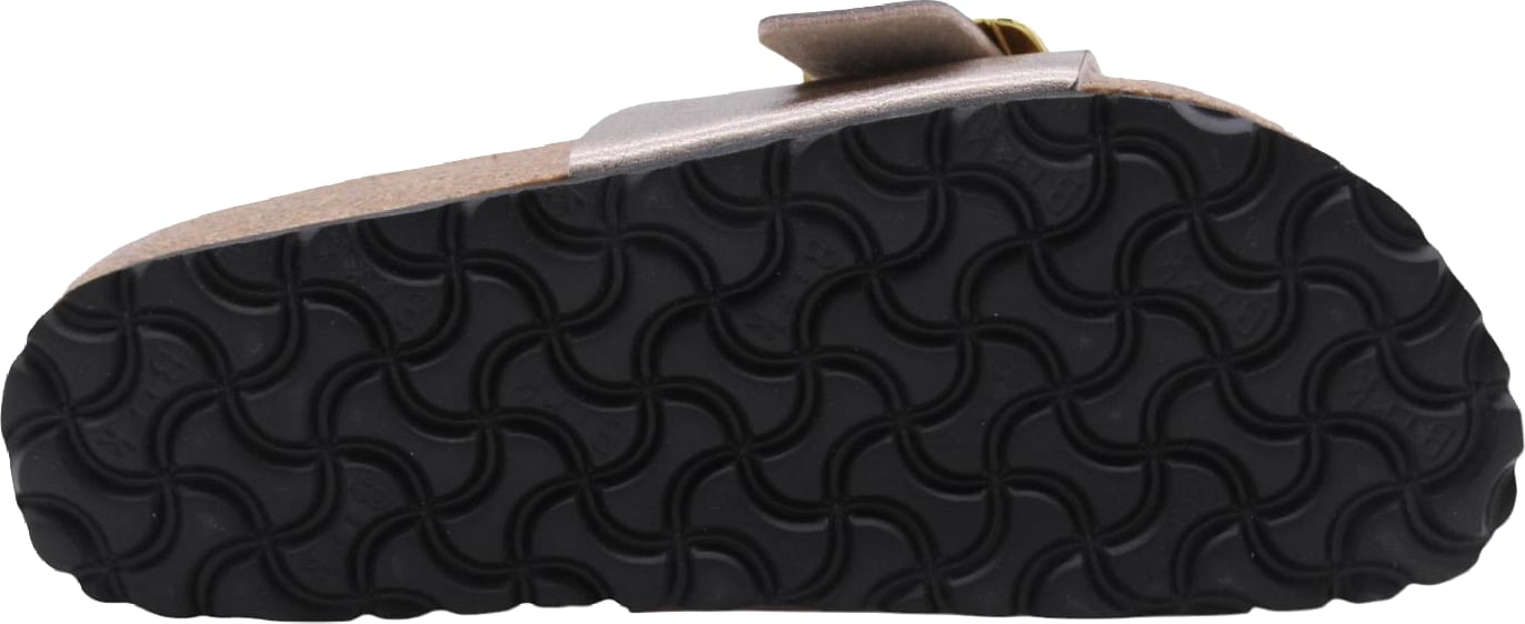 Slipper Divers