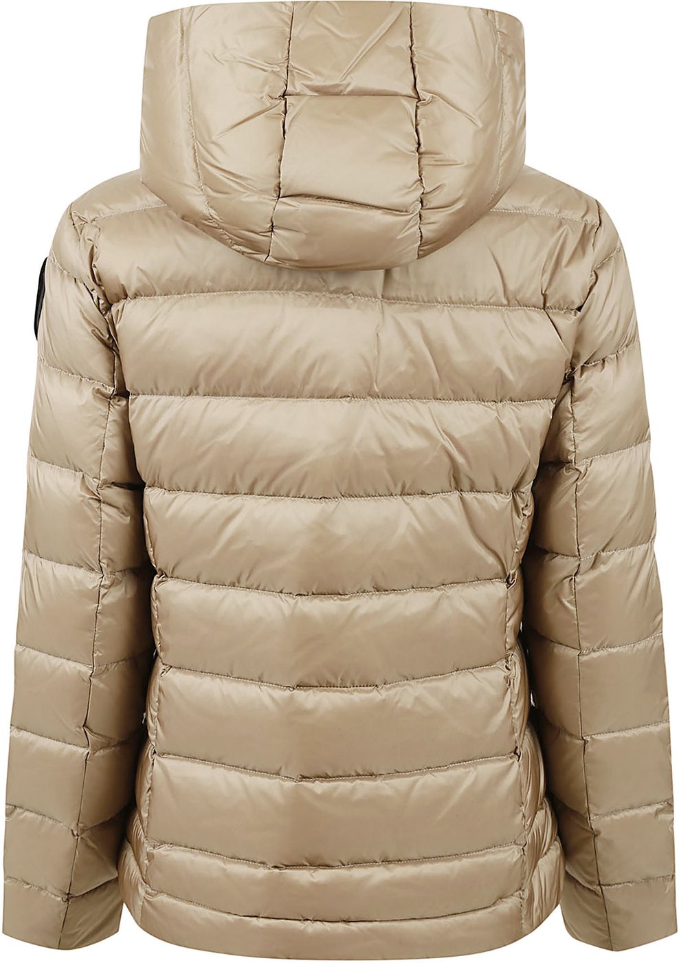 Coats Champagne