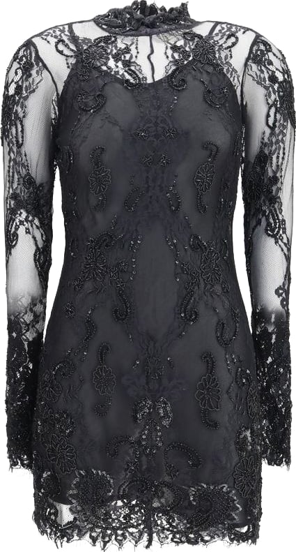 Black Sheer Sleeve Floral Embroidered Mini Dress