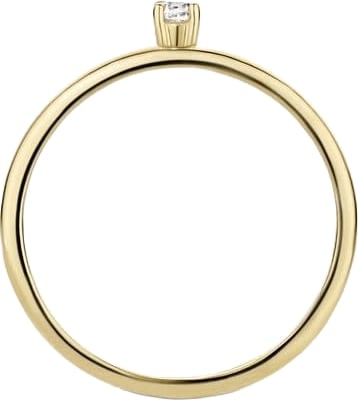 Blush Solitair Ring 1200YZI/54 14k Geelgoud met Briljant geslepen Zirkonia Maat 54