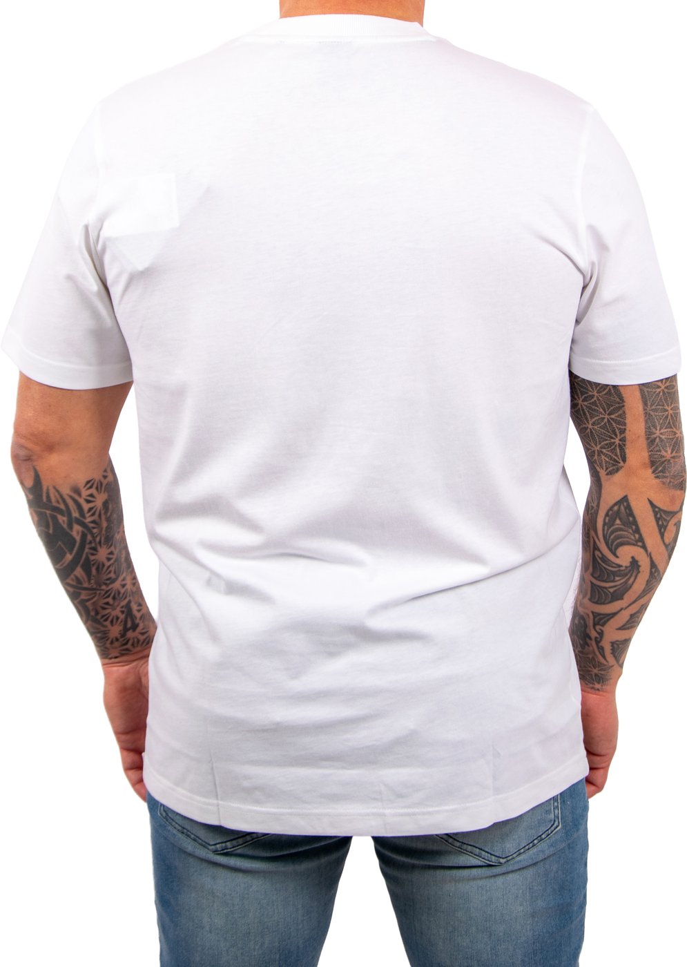 BOSS TS_Logo