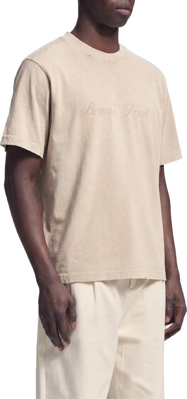 Distressed Script Logo T-shirt - Clay