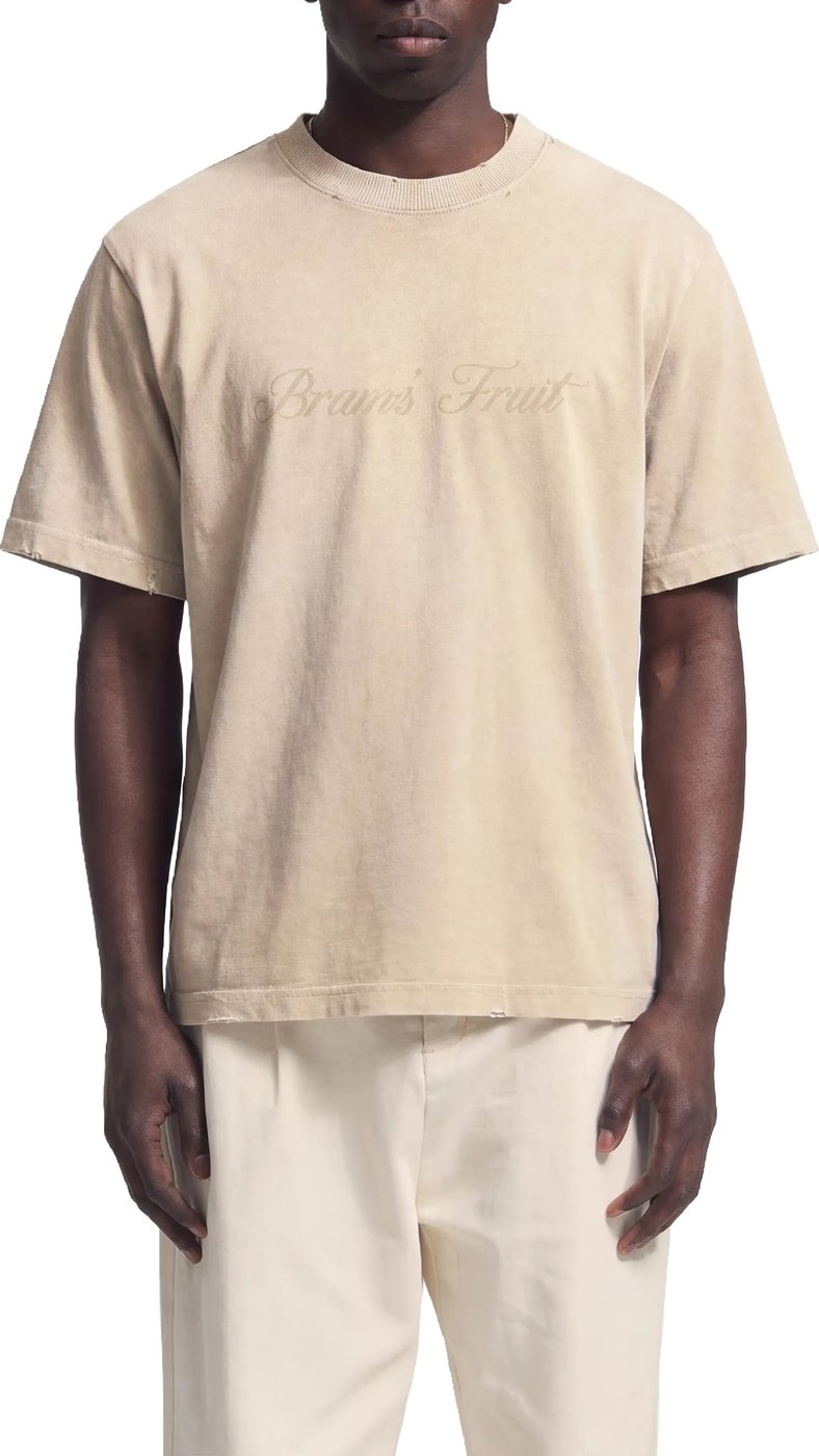 Distressed Script Logo T-shirt - Clay