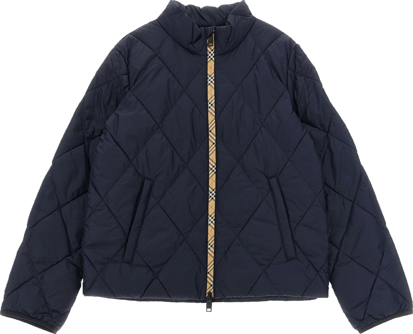 Burberry Blue Taylor Jacket