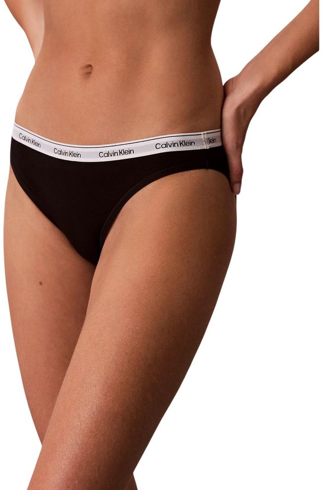Calvin Klein Underwear Bicolor Cotton Pantie