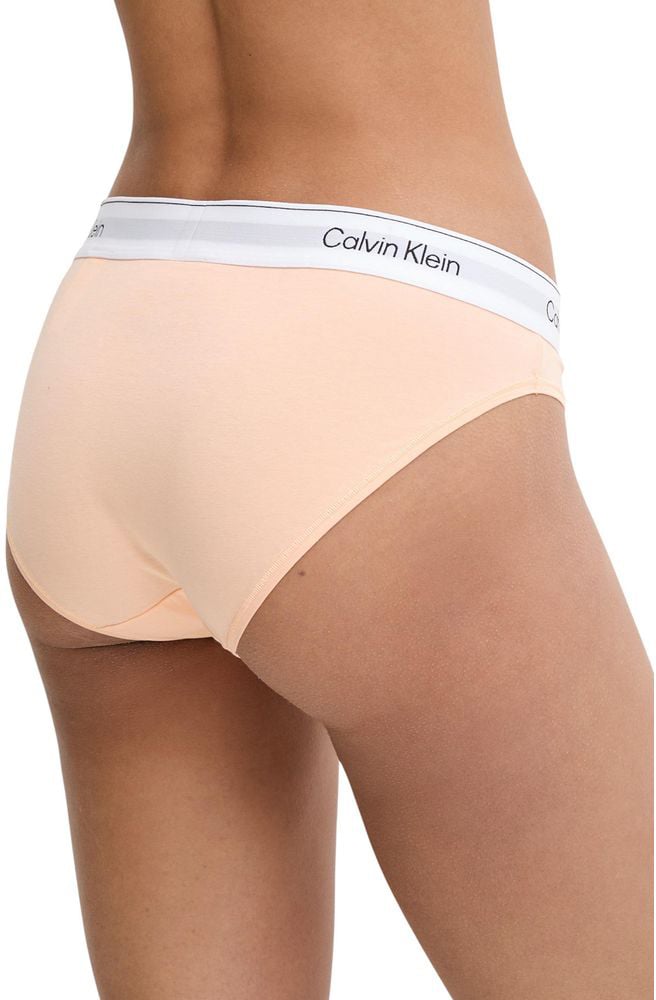 Calvin Klein Underwear Orange Cotton Pantie