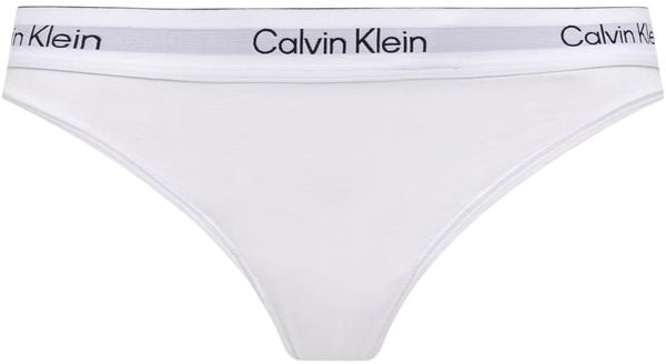 Calvin Klein Underwear Blue Cotton Pantie