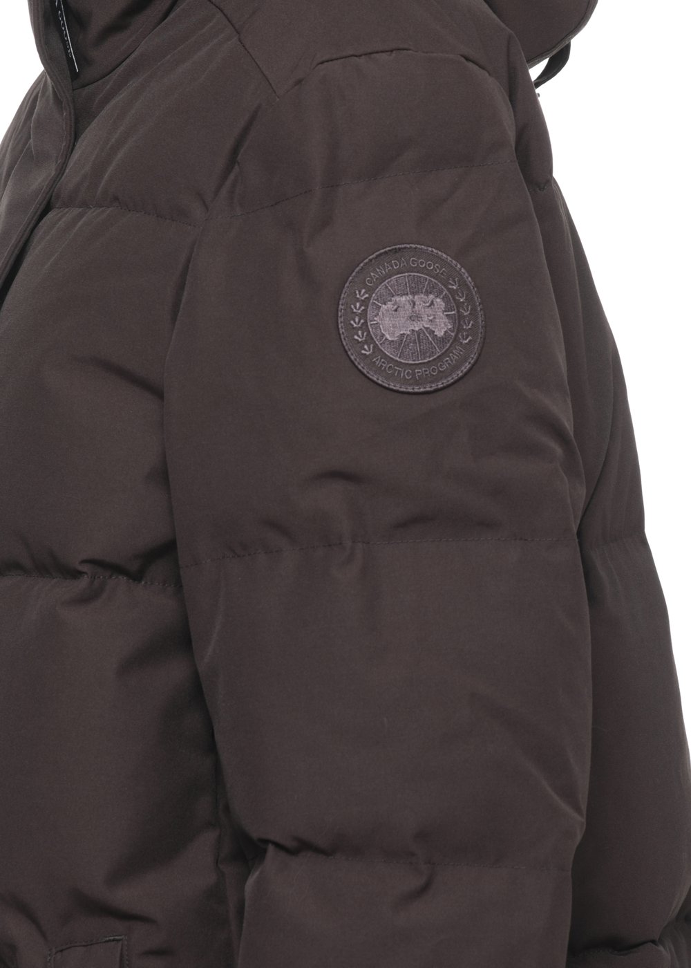Coats Brown