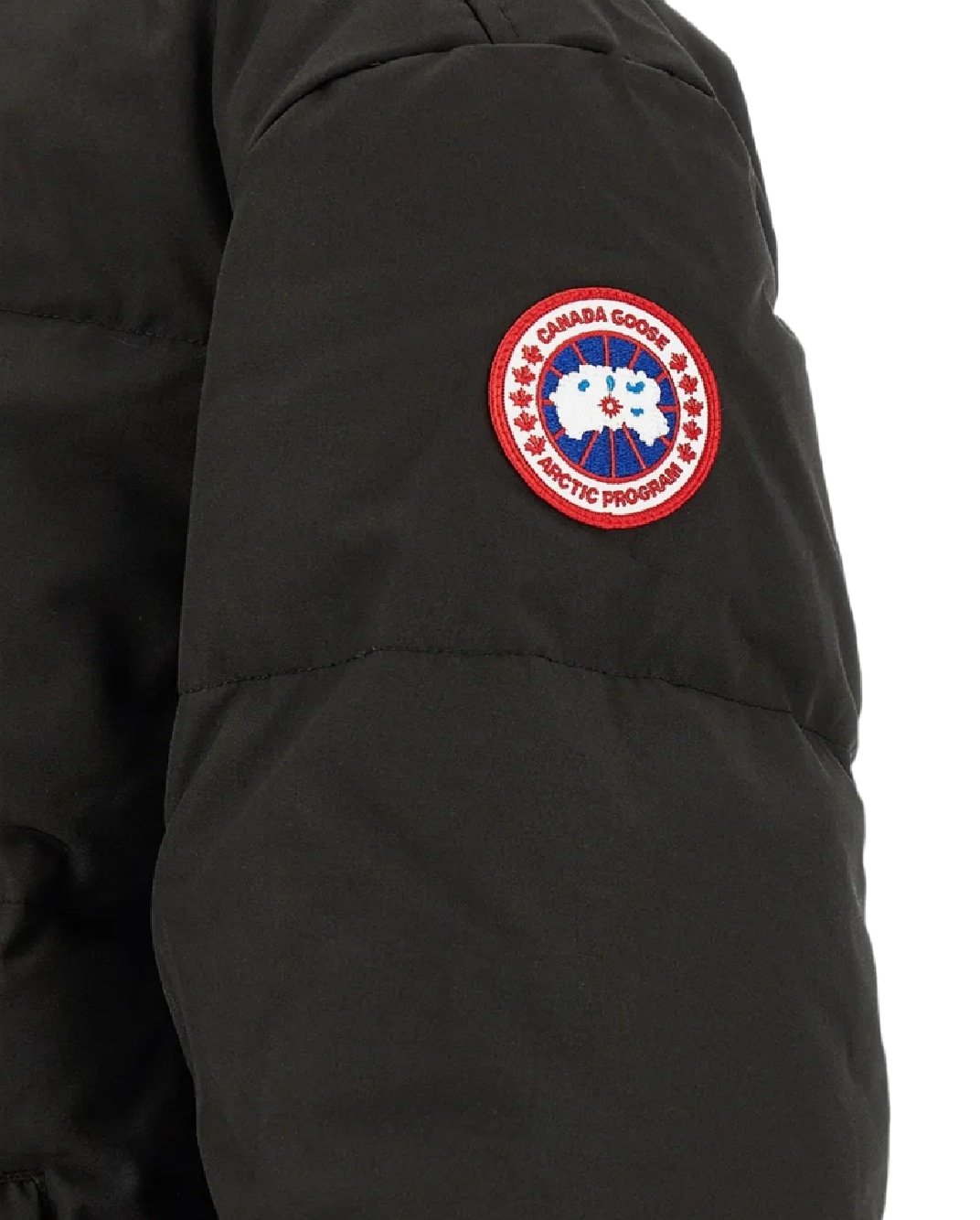 canada goose uomo seymour parka divers