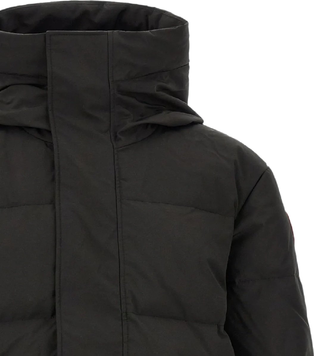 canada goose uomo seymour parka divers