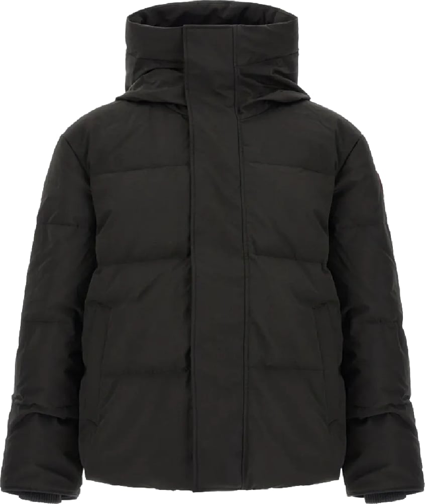 canada goose uomo seymour parka divers