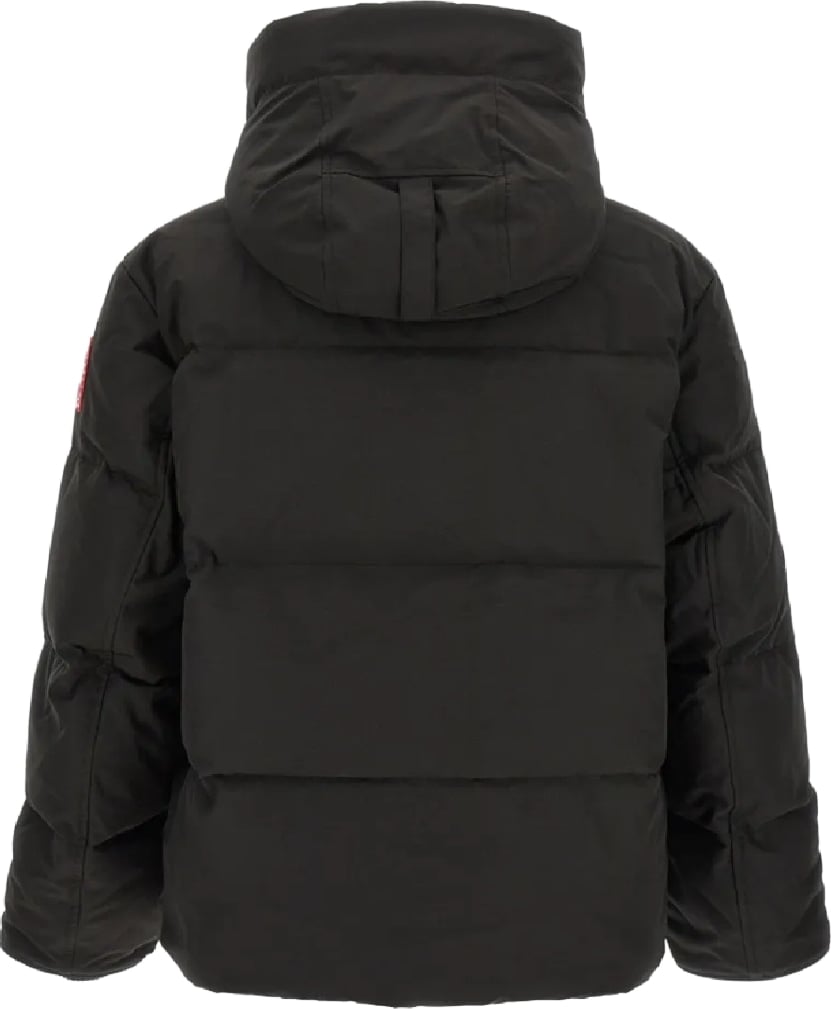 canada goose uomo seymour parka divers