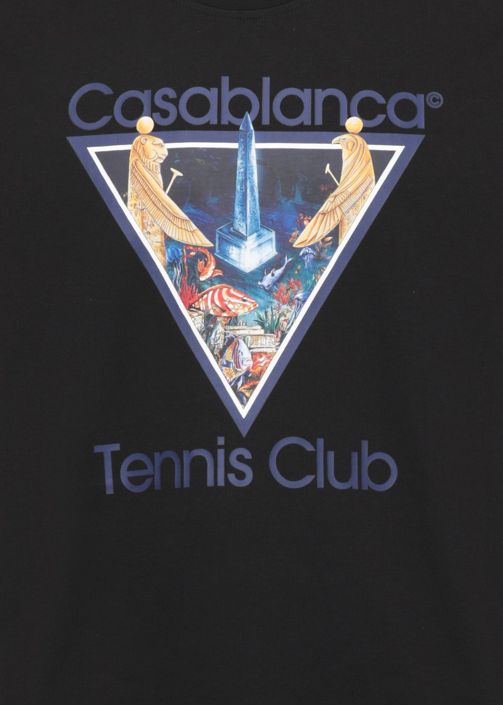 T-Shirts And Polos Black