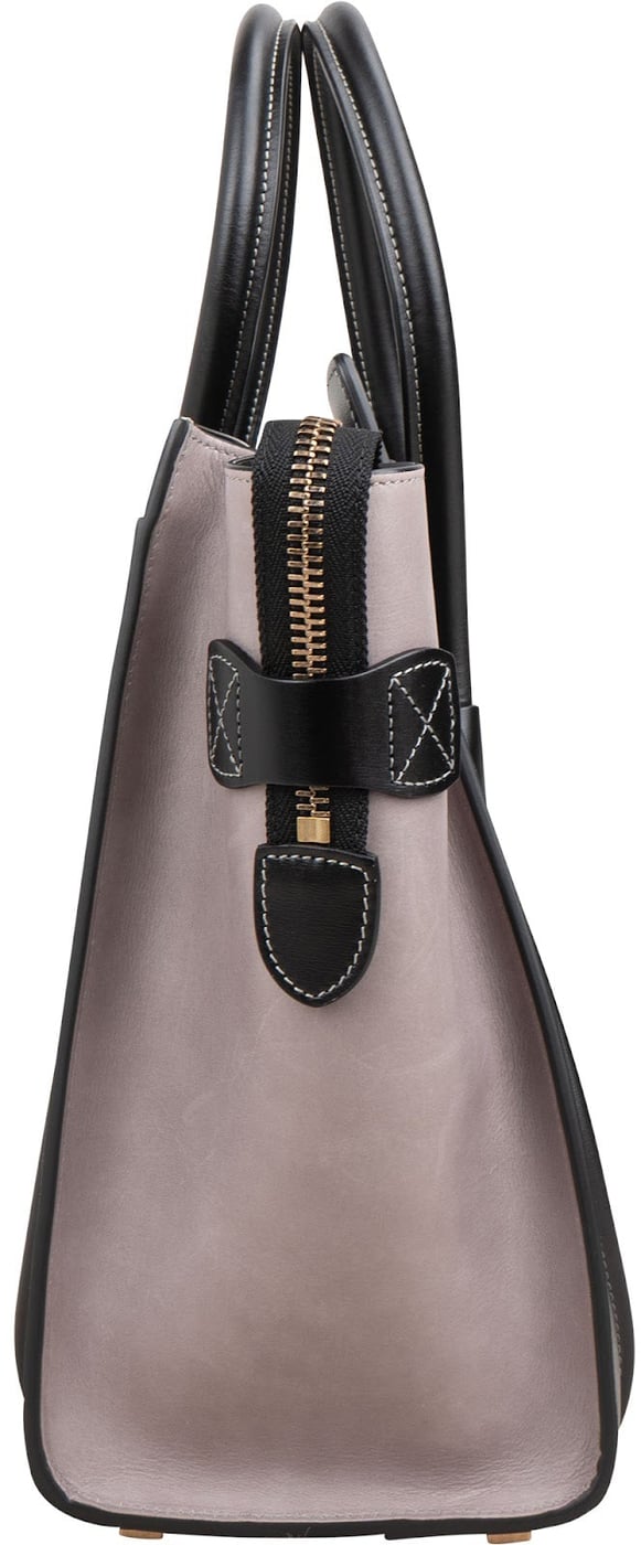 Céline Tricolor Smooth & Box Stitched Calfskin Luggage Handbag