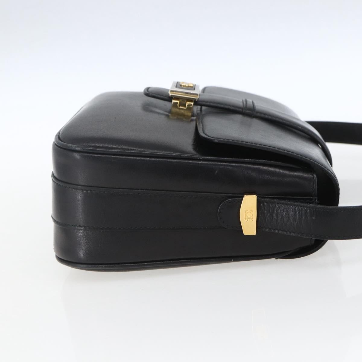 Celine Horse Carriage Leather