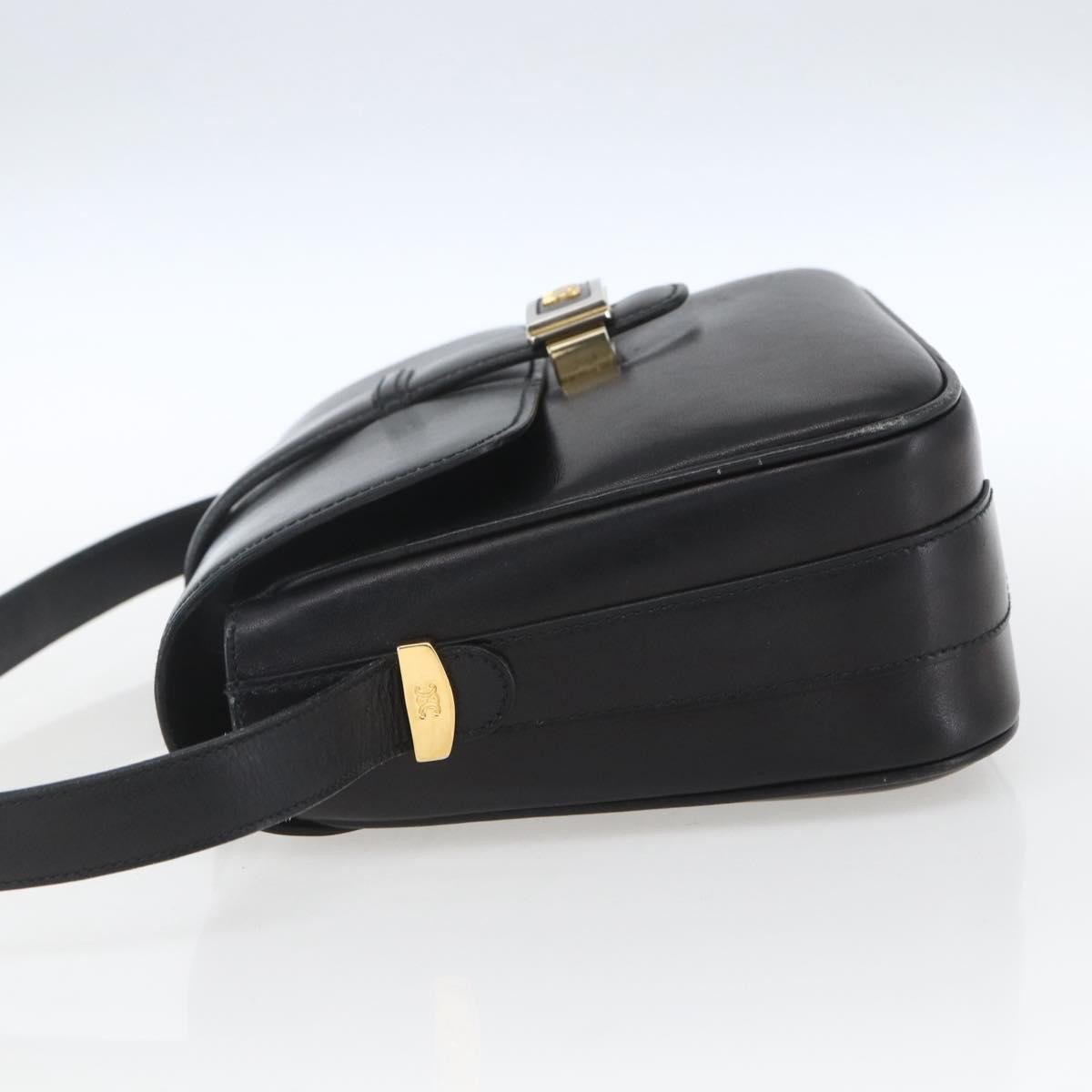 Celine Horse Carriage Leather