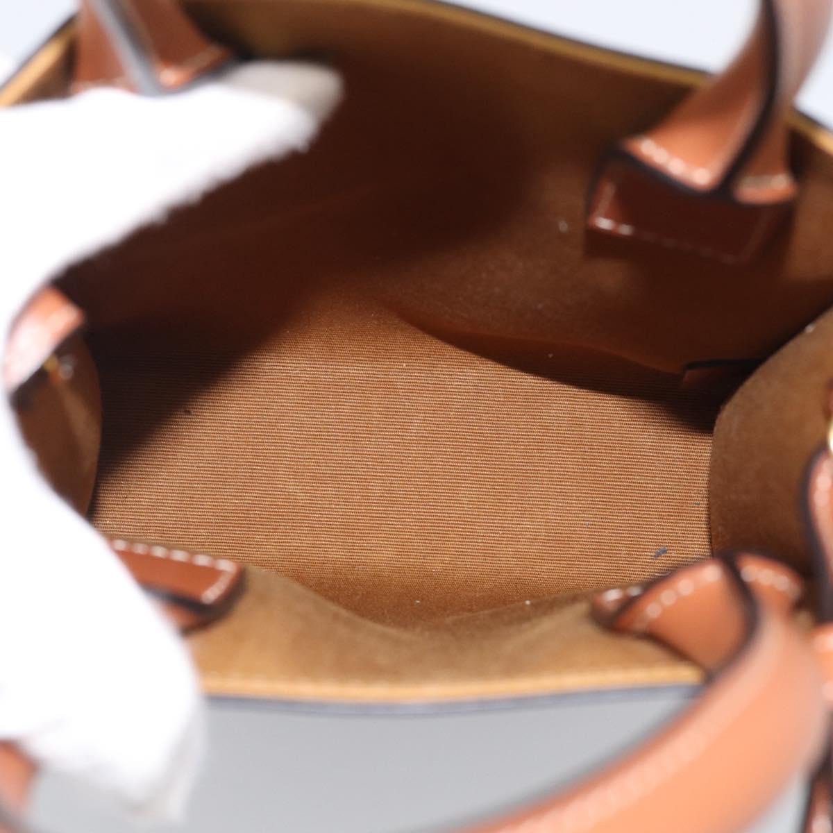 Celine Vertical Cabas Triomphe Coated Canvas Mini