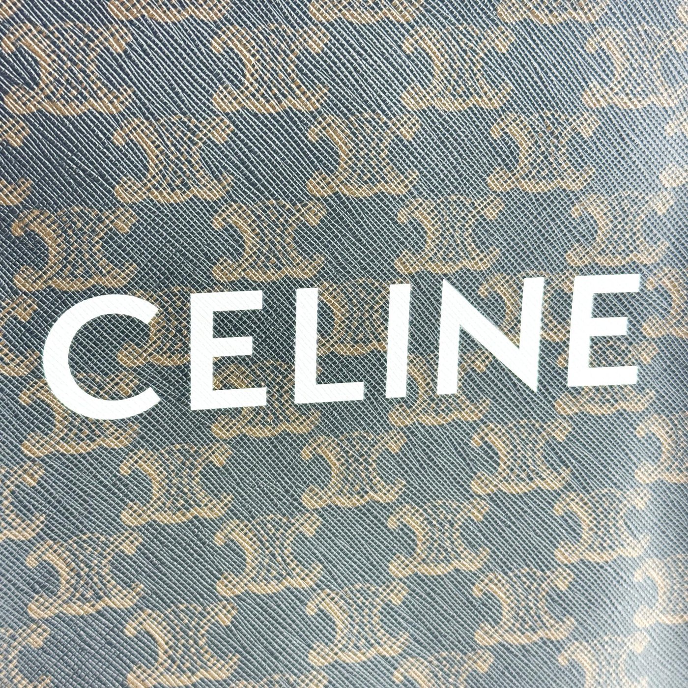 Celine Vertical Cabas Triomphe Coated Canvas Small