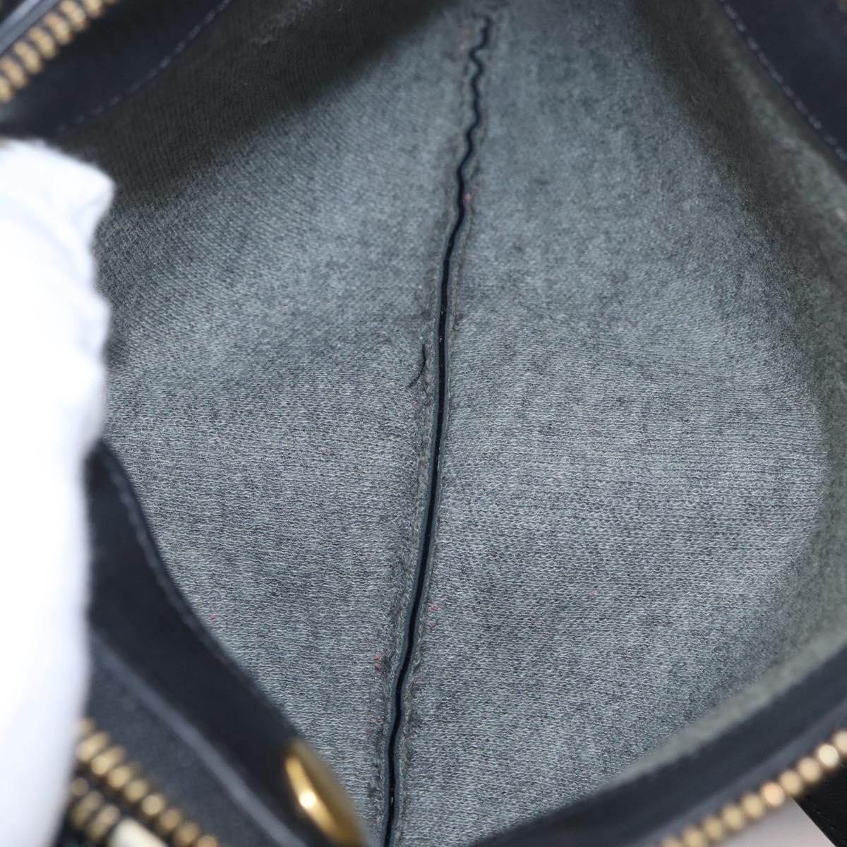 Celine Trio Leather Small
