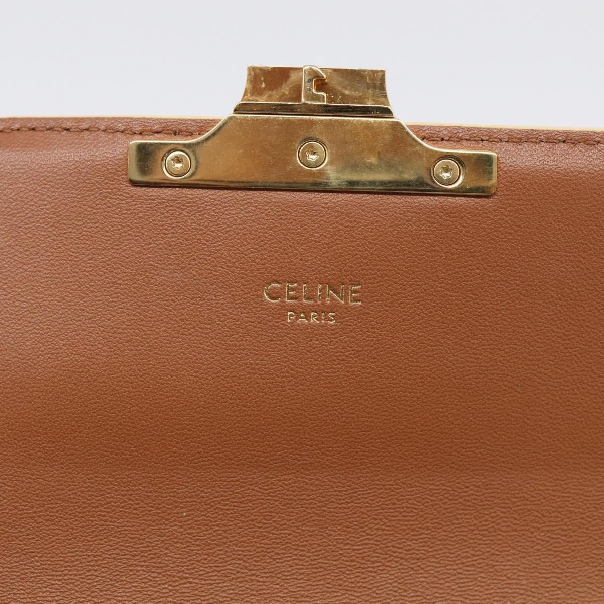 Celine Triomphe East-West Triomphe Coated Canvas