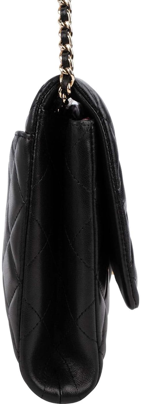 Chanel Quilted Lambskin Medium Single Flap Shoulder Bag