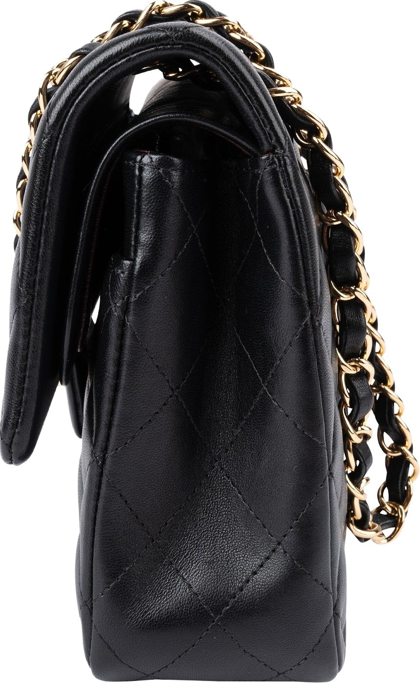 Chanel Quilted Lambskin Medium Double Flap Shoulder Bag