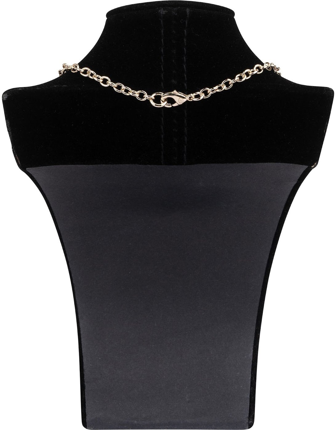 Chanel Gold Tone Leo Book Locket Medallion Necklace B22C