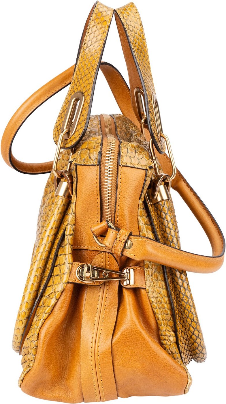 Chloé Python Leather Paraty Shoulder Bag