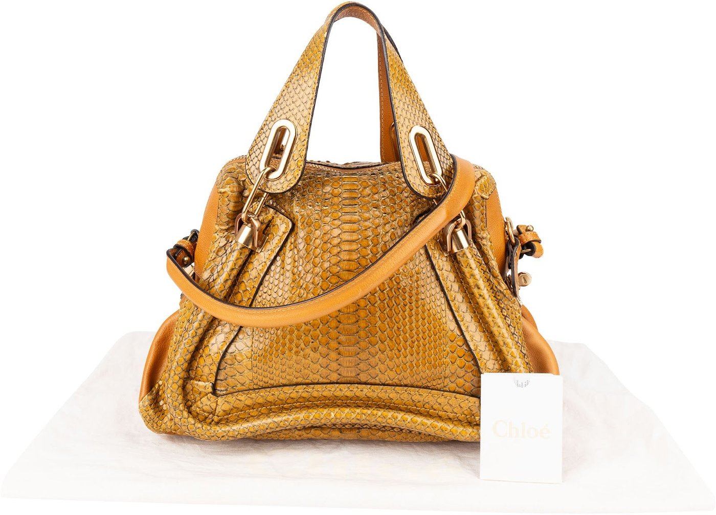 Chloé Python Leather Paraty Shoulder Bag