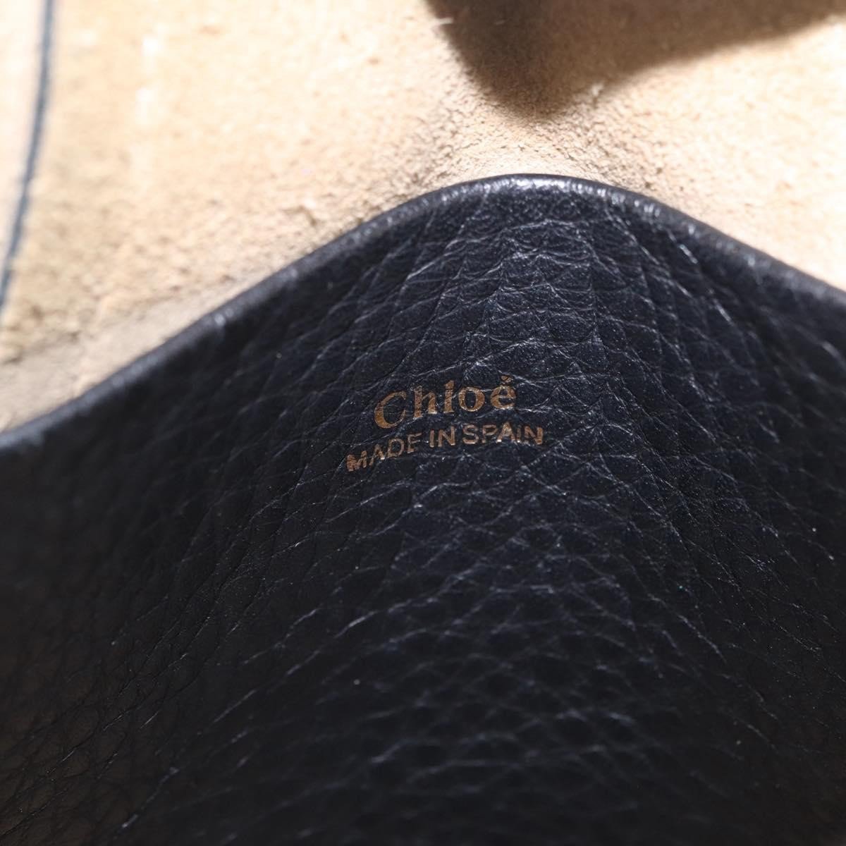 Chloe Hayley Hobo Leather Small