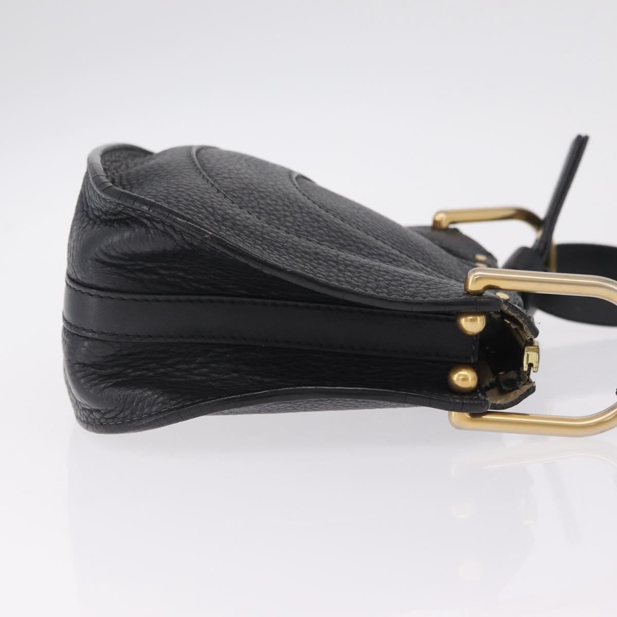 Chloe Hayley Hobo Leather Small